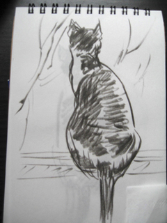 柏の秋2014 021Bs.jpg