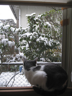雪と 005s.jpg